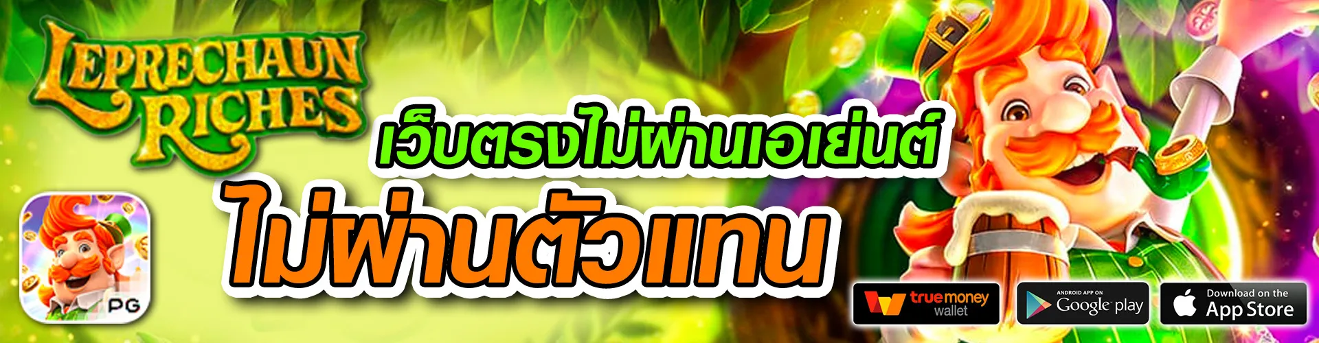 cat888.fun เข้าสู่ระบบ